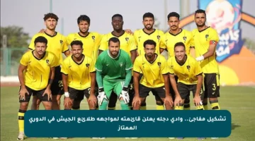 تشكيل مفاجئ.. وادي دجلة يعلن قائمته لمواجهة طلائع الجيش في الدوري الممتاز